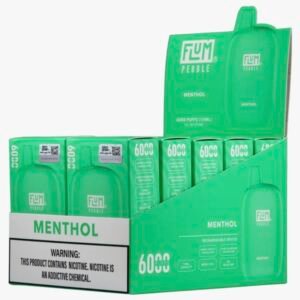 Menthol 6000 puffs (10 pack)