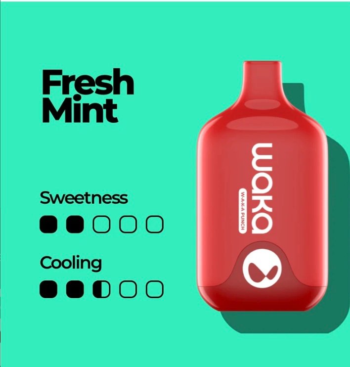 Waka Smash 6000 Puffs Disposable Vape Fresh Mint
