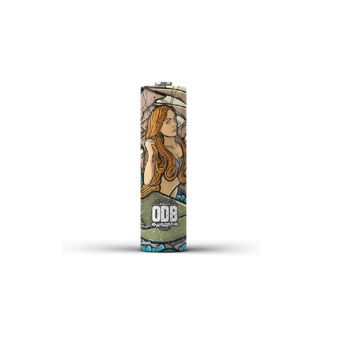 18650 Size Battery Wraps - Image 4