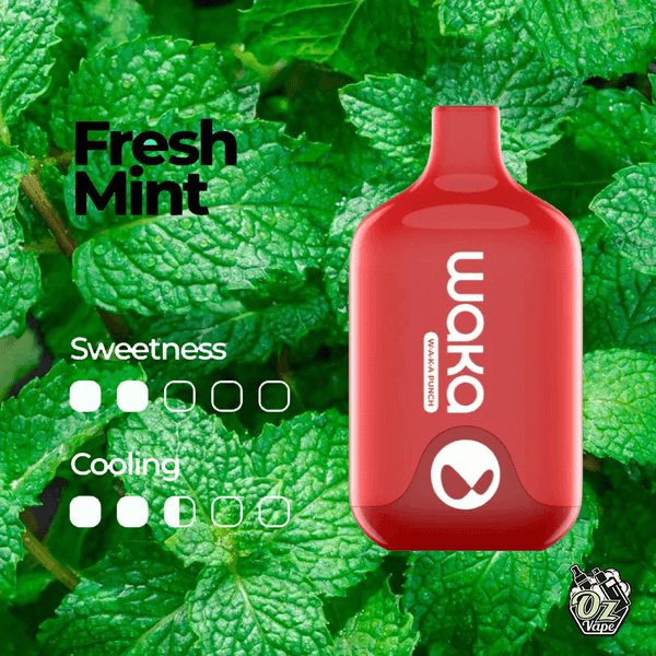 WAKA SMASH 6000 PUFF – FRESH MINT