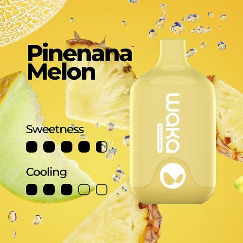 WAKA SMASH 6000 PUFF – PINENANA MELON